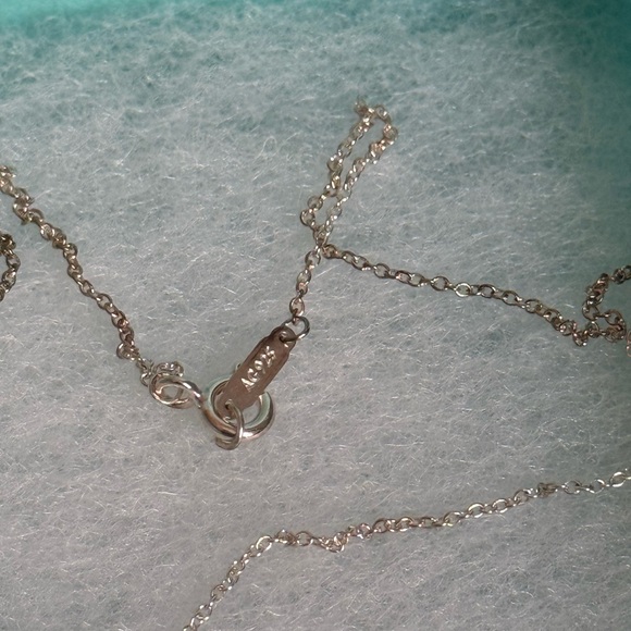 Tiffany & Co. Silver “GO WOMEN 2018”Medallion Necklace - Picture 9 of 9